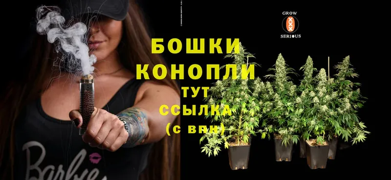 сколько стоит  Кинель  кракен сайт  МАРИХУАНА White Widow 